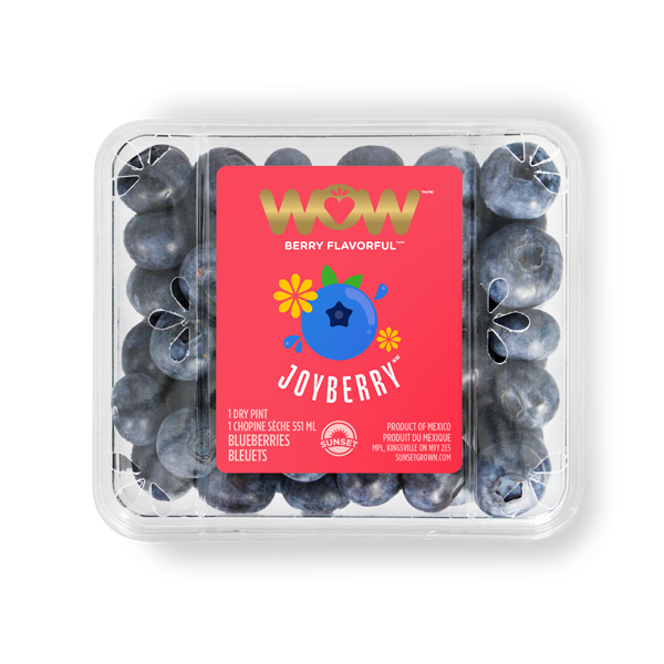 slide 1 of 1, Wow Joyberry Blueberries, 1 pint