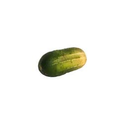 Pickling Cucumbers