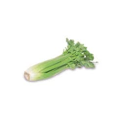 Foxy Organic Celery