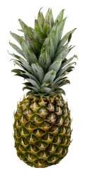 Super Sweet Pineapples