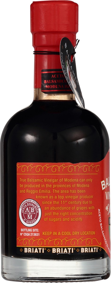 slide 5 of 14, Briati Balsamic Vinegar of Modena 8.45 fl oz, 8.4 fl oz