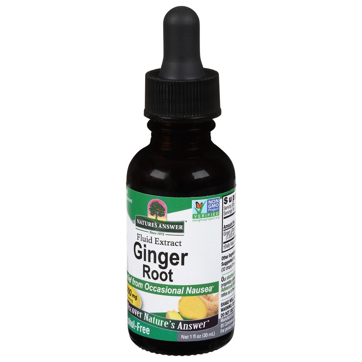 slide 3 of 9, Nature's Answer 1000 mg Fluid Extract Ginger Root 1 fl oz, 1 fl oz