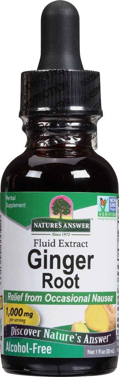 slide 6 of 9, Nature's Answer 1000 mg Fluid Extract Ginger Root 1 fl oz, 1 fl oz