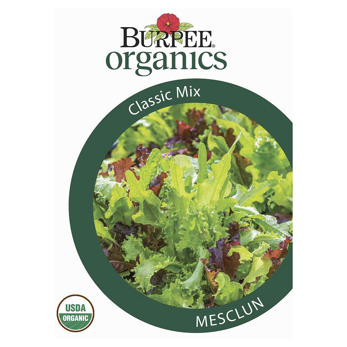 slide 1 of 5, Burpee Organic Mesclun Classic Mix Seeds, 1 ct