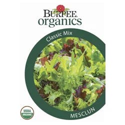 Burpee Organic Mesclun Classic Mix Seeds