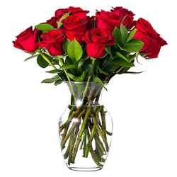 Classic Dozen Rose Arrangement - EACH