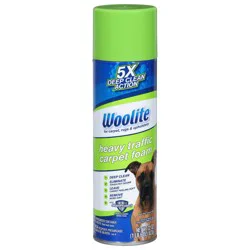 Woolite Heavy Traffic Carpet Foam 22 oz