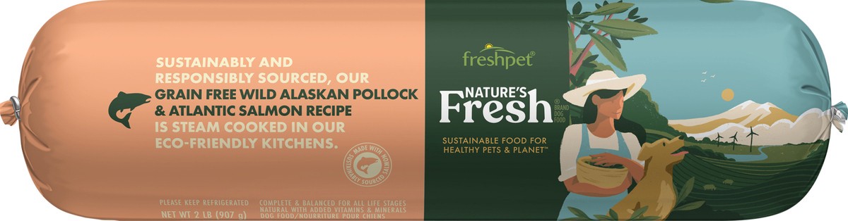 slide 3 of 3, Freshpet Healthy & Natural Dog Food, Fresh Grain Free Wild Alaskan Pollock & Atlantic Salmon Recipe, 2 lb, 2 lb