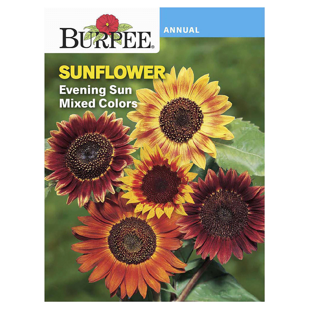 slide 1 of 5, Burpee Sunflower Evening Sun Mix Seeds, 1 ct