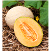 slide 5 of 9, Bonnie Plants Cantaloupe - Hales Best, 19.3 oz