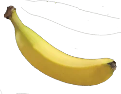 Fresh Bananas In Bag