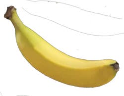 Fresh Bananas In Bag