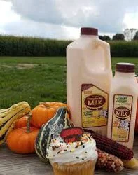 Kreider Farms Pumpkin Pie Milk Pint