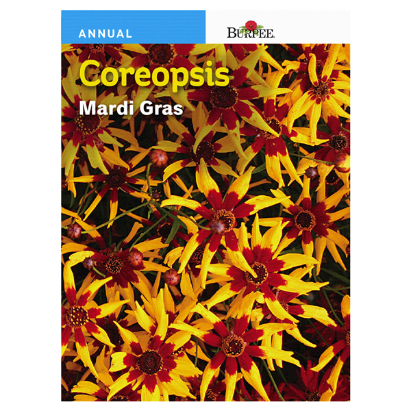 slide 1 of 1, Burpee Perennial Coreopsis Mardi Gras Seeds, 1 ct