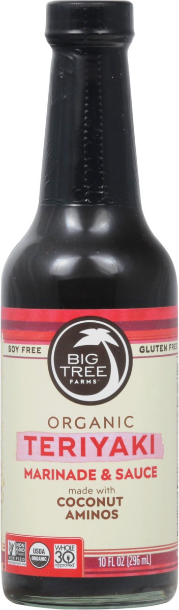 slide 6 of 9, Big Tree Farms Teriyaki Sauce, 10 oz