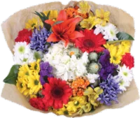 BLOOM HAUS Concerto Feather Light Bouquet