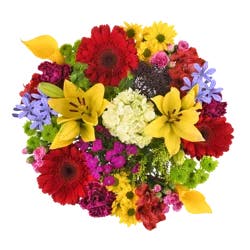 BLOOM HAUS Concerto Feather Light Bouquet