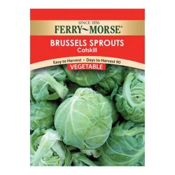 Ferry Morse Brussel Sprouts - Catskill