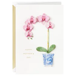 Hallmark Signature Mother''s Day Card (Little Reminder) #7