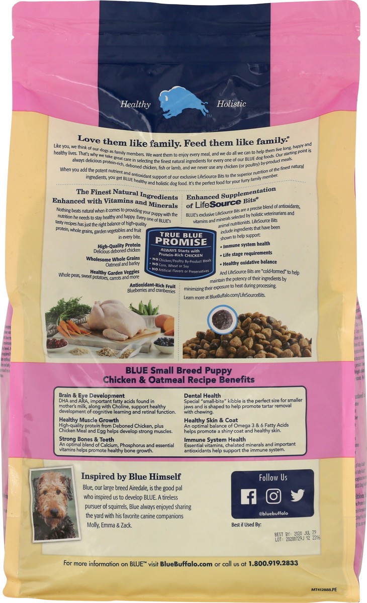 slide 9 of 10, Blue Buffalo Dog Food 6 lb, 6 lb