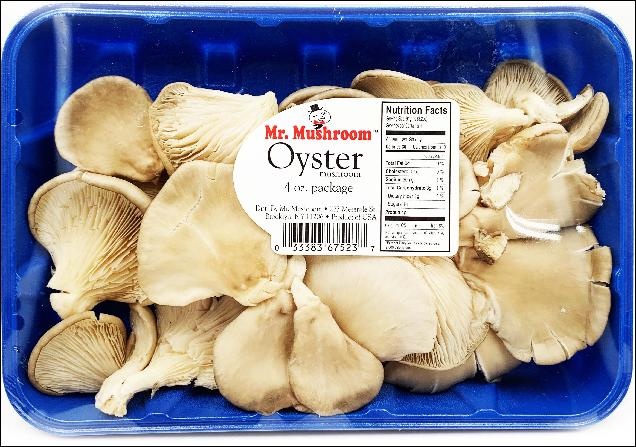 slide 1 of 1, Mr. Mushroom Oyster Mushroom, 4 oz