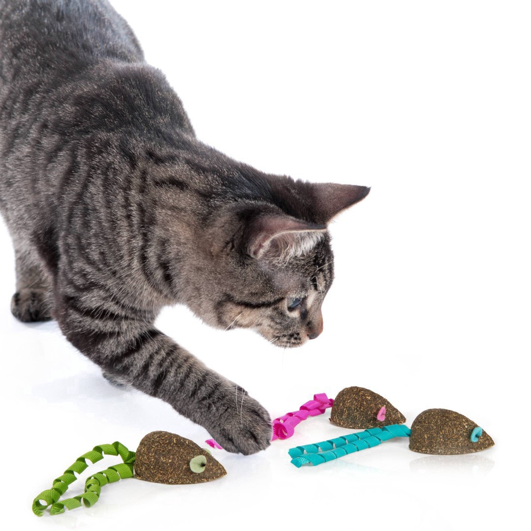 slide 12 of 26, SmartyKat Magic Mice Catnip Cat Toy - 3pk, 3 ct