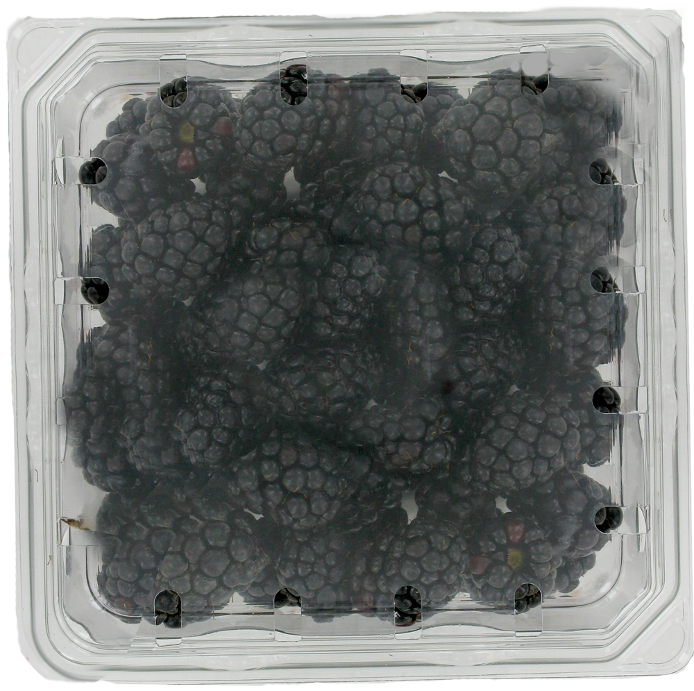 slide 1 of 1, Driscoll's Berries Blackberries, 6 oz