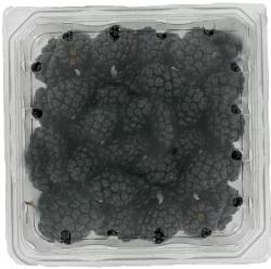 Driscoll's Berries Blackberries