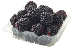 Driscoll's Blackberries