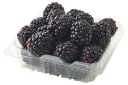 Driscoll's Blackberries