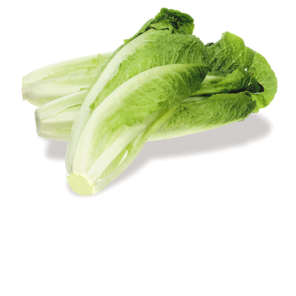 slide 1 of 2, Organic Romaine Hearts Lettuce, 3 ct