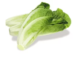 Organic Romaine Hearts Lettuce