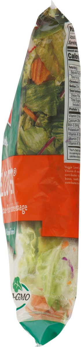 slide 9 of 9, Fresh Express Veggie Lovers Salad, 11 oz