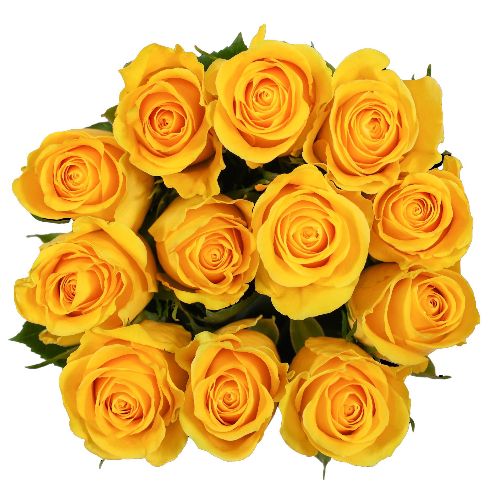 slide 1 of 1, BLOOMS by H-E-B Dozen Yellow Roses, 1 ct