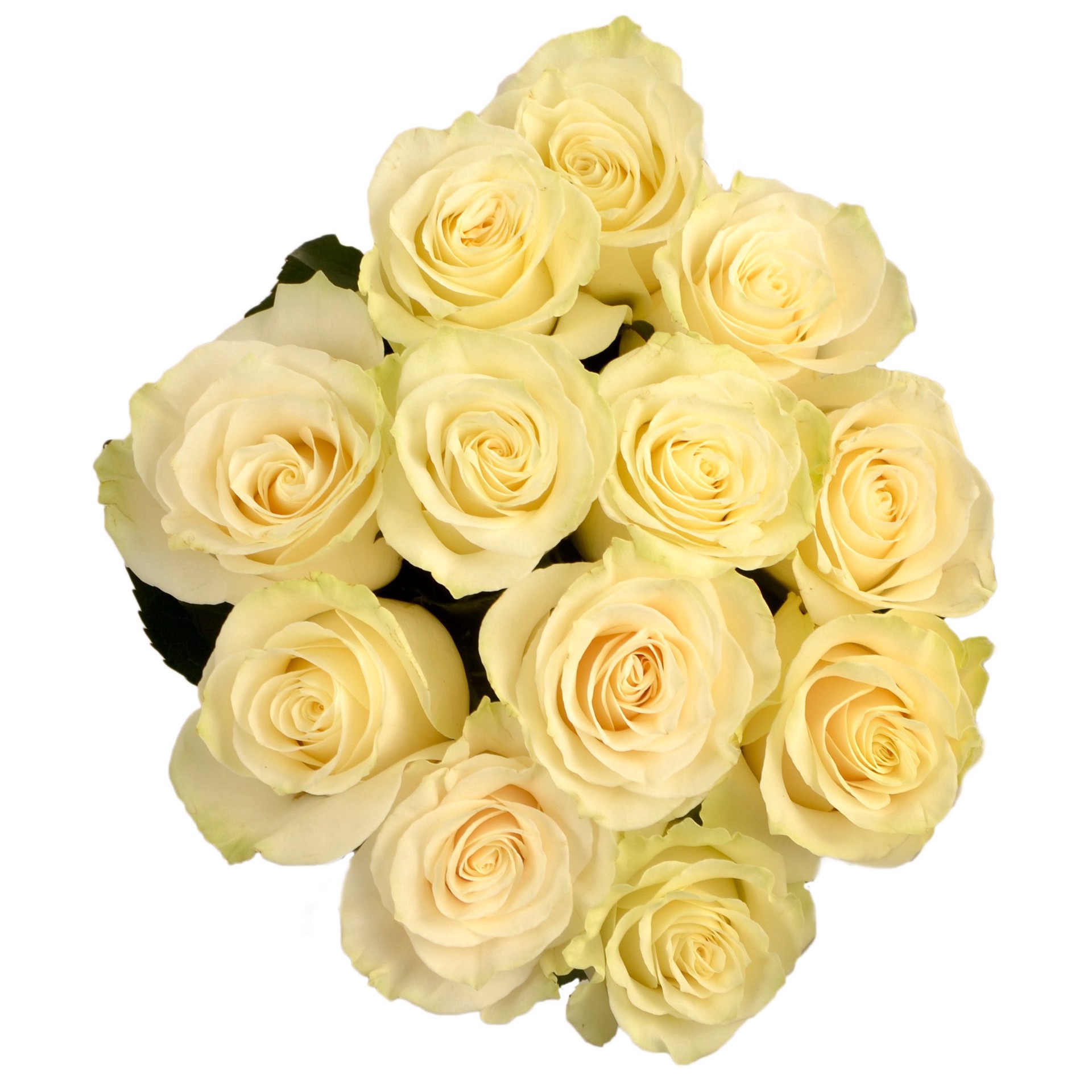 slide 1 of 1, BLOOMS by H-E-B Dozen White Roses, 1 ct