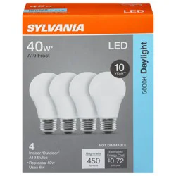 Sylvania LED A19 Frost 6 Watts Daylight Indoor/Outdoor Bulbs - 4 Each