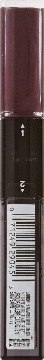 slide 9 of 9, L'Oréal Pro Last 2 Step Raisin Revival Lipstick, 1 ct