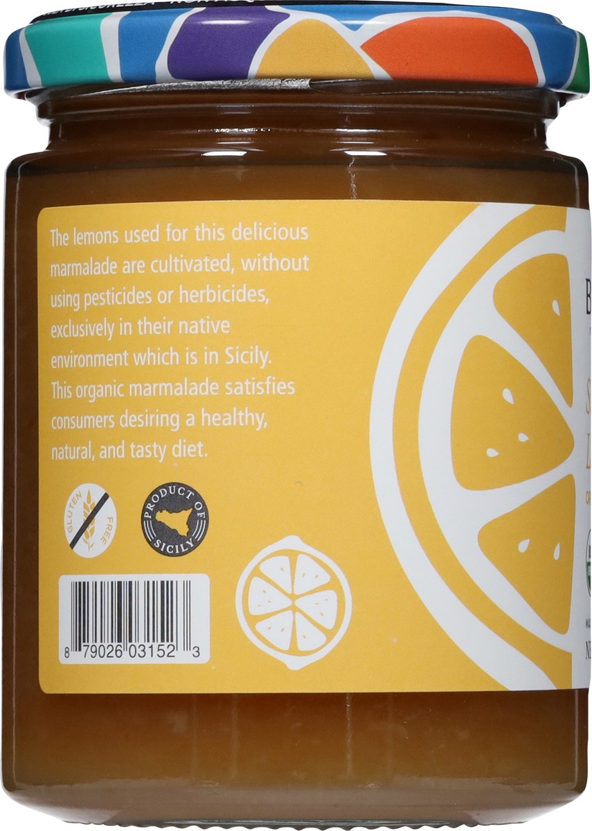 slide 8 of 13, Bono Organic Sicilian Lemon Marmalade 12.4 oz, 12.4 oz