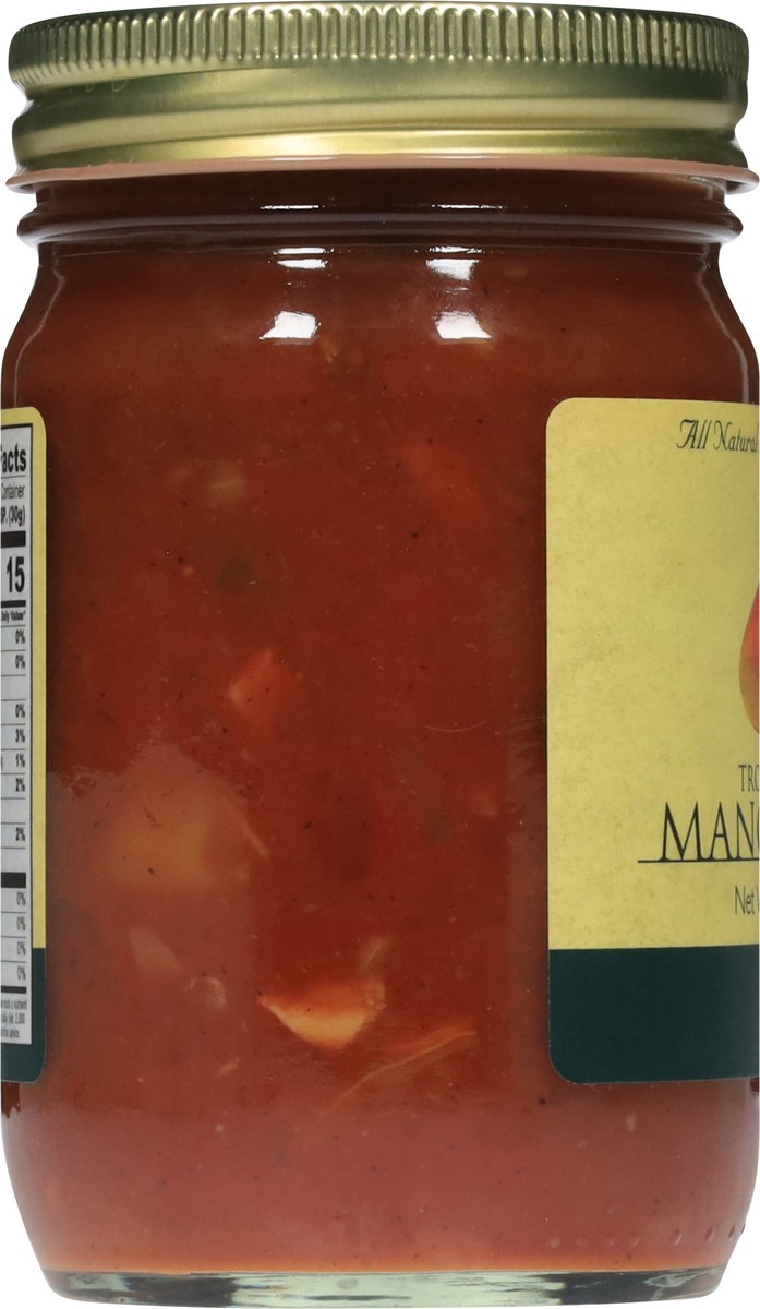 slide 8 of 15, Gunther's Gourmet Tropical Style Mango Salsa 12 oz, 12 oz