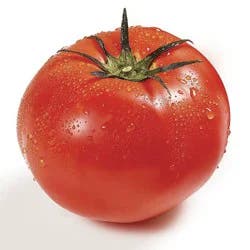 Organic Tomatoes