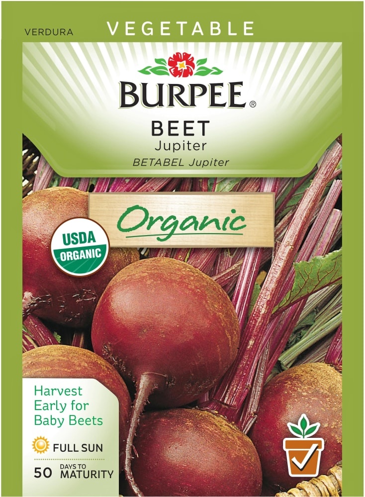 slide 1 of 1, Burpee Jupiter Organic Beet Seeds, 1.8 gram