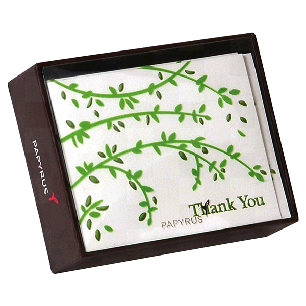 slide 1 of 1, Papyrus Boxed Thank You Notes, 20 ct