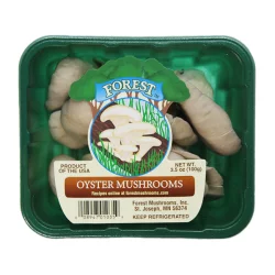 Oyster Mushrooms