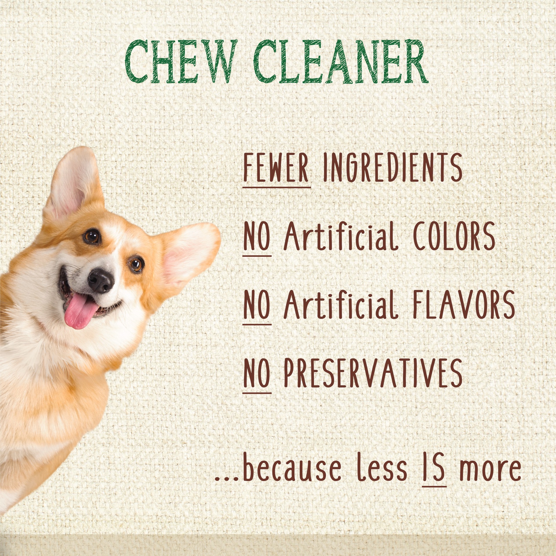 slide 4 of 10, Nylabone Nutri-Dent Filet Mignon Flavor Medium Dental Dog Treats, 20 ct