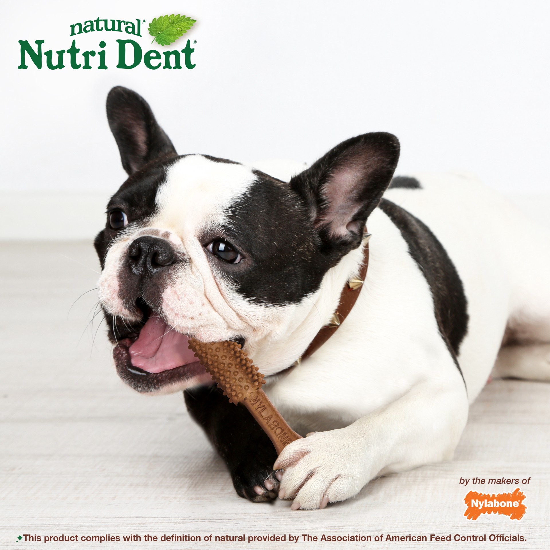 slide 7 of 10, Nylabone Nutri-Dent Filet Mignon Flavor Medium Dental Dog Treats, 20 ct