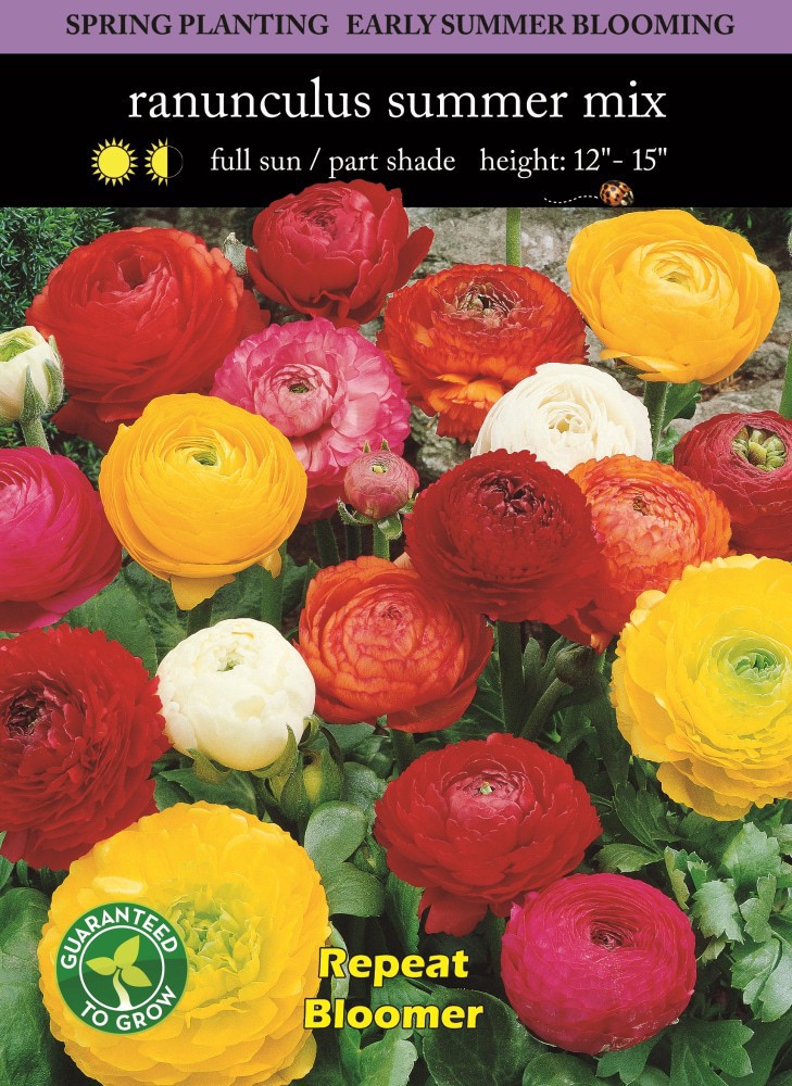 slide 2 of 2, Ranunculus Mix Seeds, 1 ct