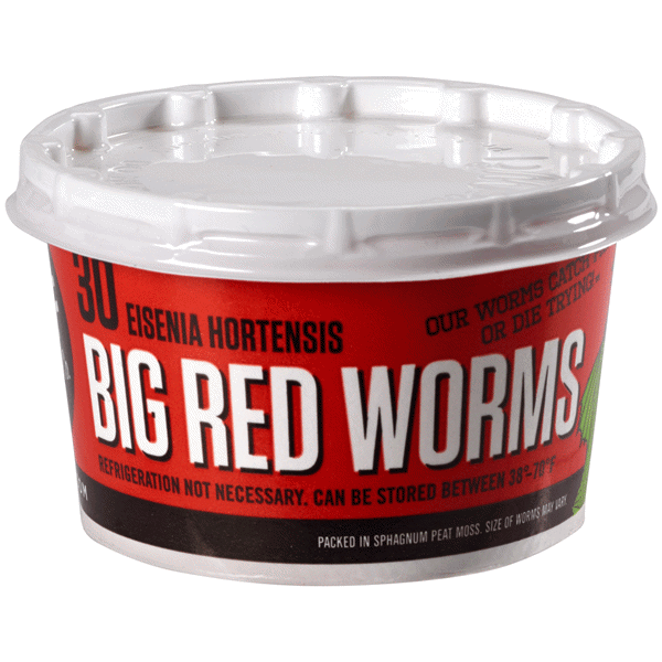slide 1 of 1, DMF Bait Big Red Worms, 30 ct