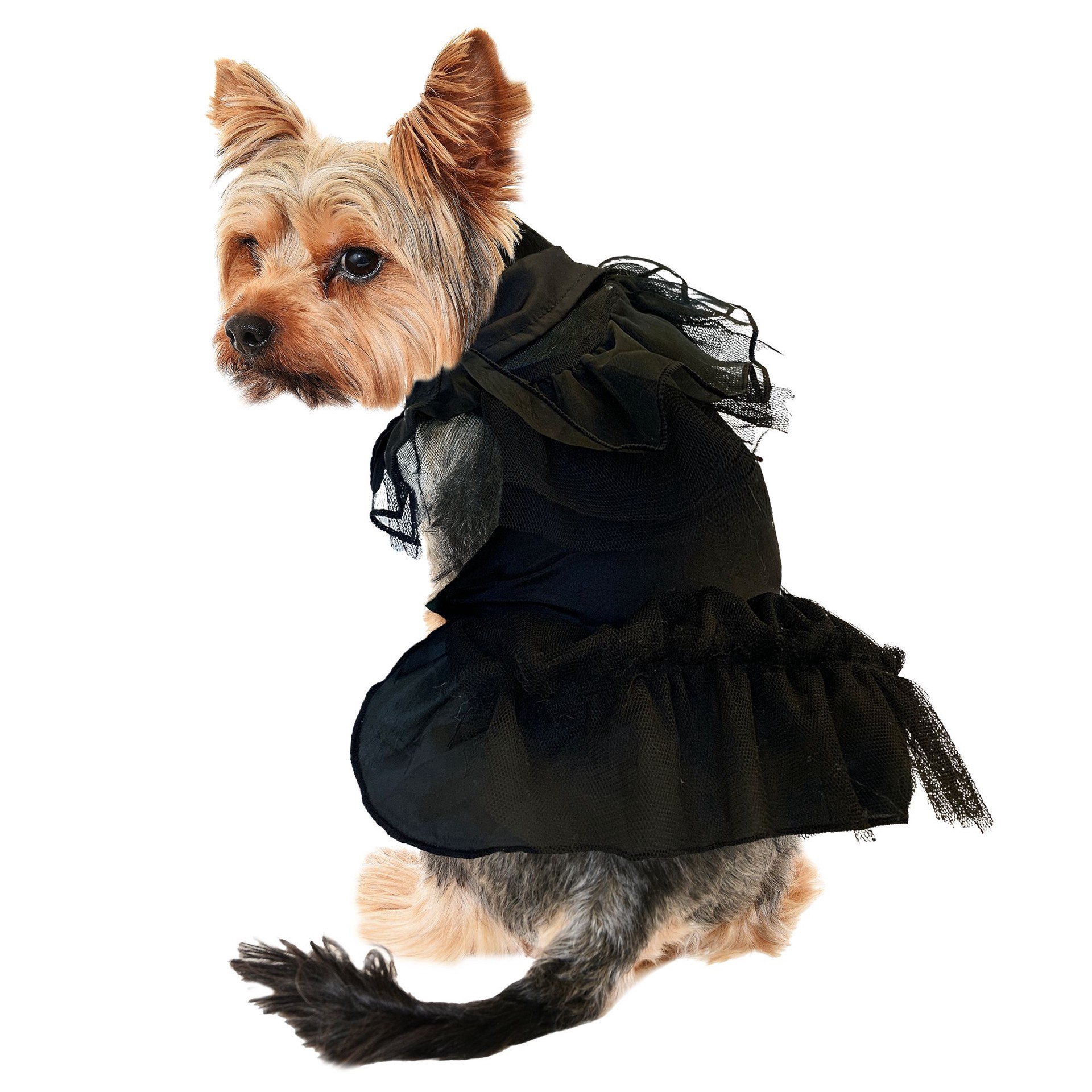 slide 1 of 1, GMason Wednesday Rave'N Dress Costume, 1 ct; X small