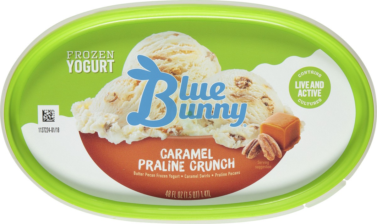 slide 6 of 11, Blue Bunny Yogurt Caramel Praline Ice Cream, 48 fl oz