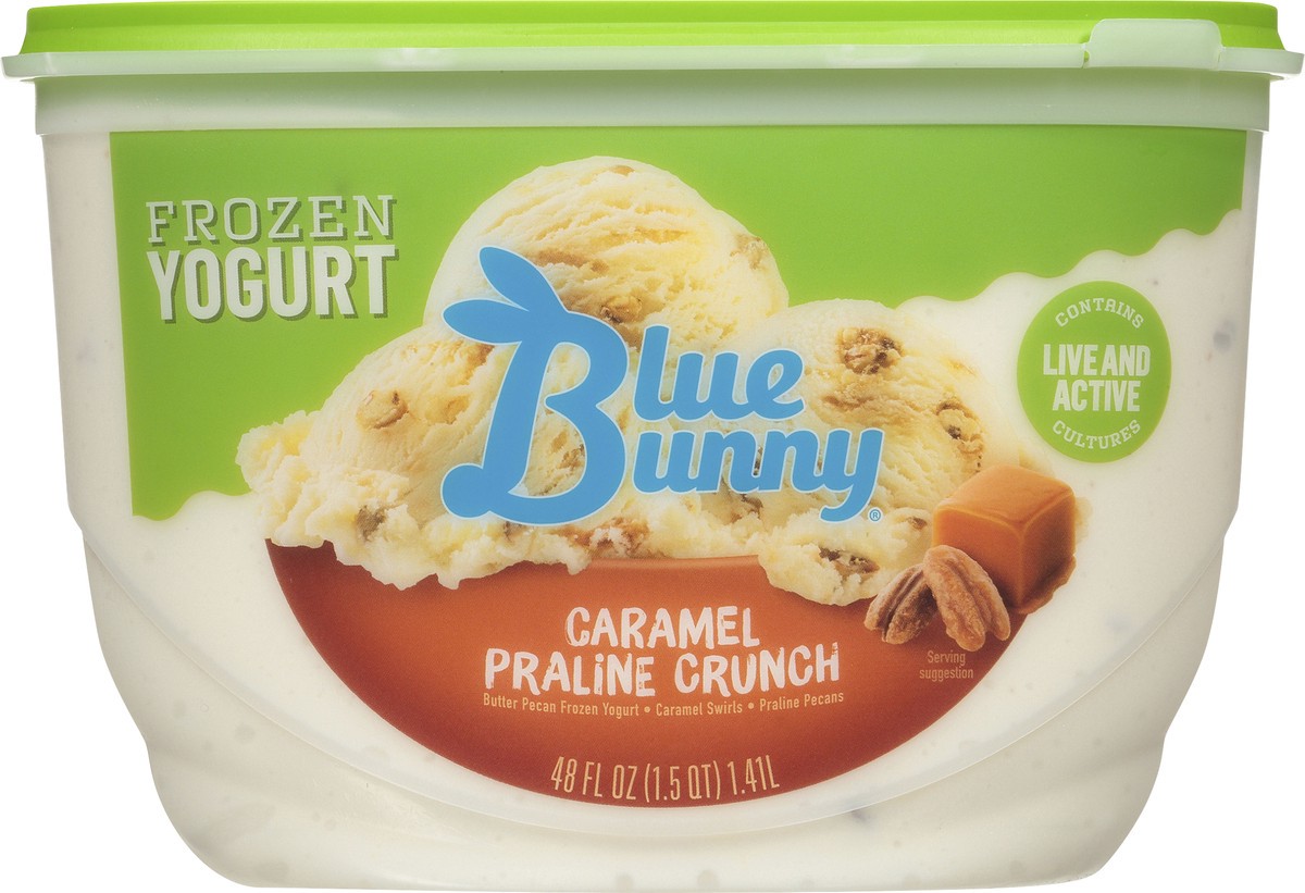 slide 9 of 11, Blue Bunny Yogurt Caramel Praline Ice Cream, 48 fl oz